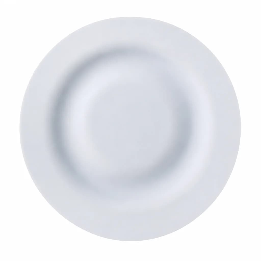 Màng bơm định lượng Nikkiso BX70/BX100 - ảnh 1
