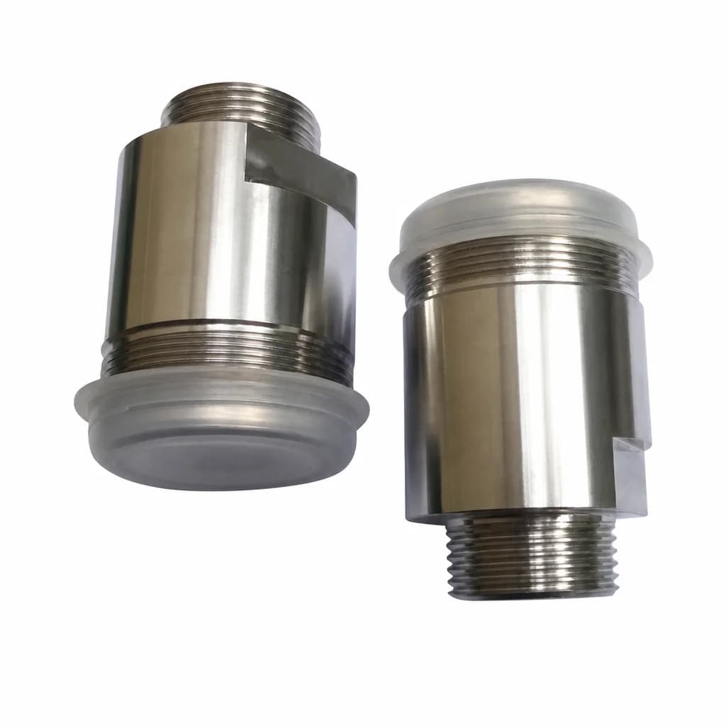 Bộ van hút xả bơm định lượng Doseuro D100N/D120N Inox - ảnh 1
